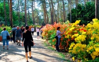 Jeli arborétum, Keszthely PROGRAM ****